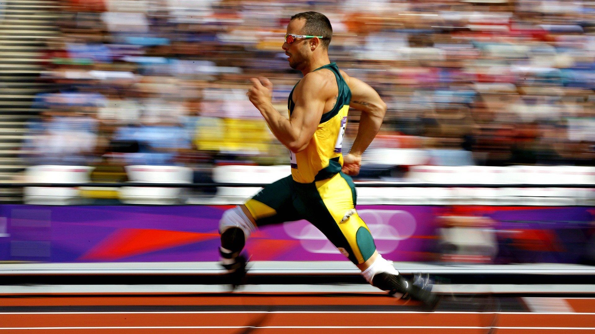 综合格斗赛场焦点!韩国队对阵比利时队,体能极限考验,赛场硬仗一触即发